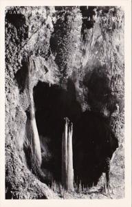 New Mexico Carlsbad Caverns Celery Formation In Big Room Real Photo