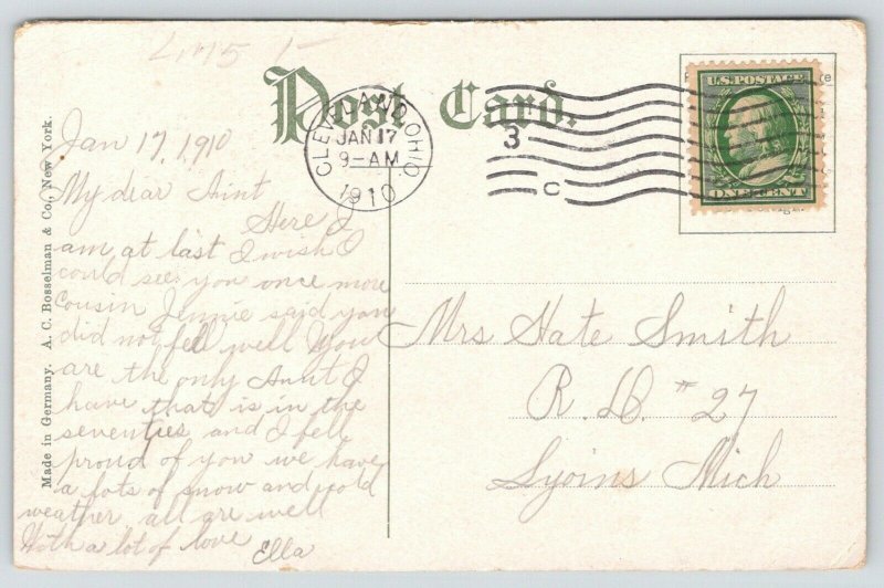 Cleveland Ohio~Kids Below Retaining Wall @ Wade Park~Doan Brook~Tree Stump~1910