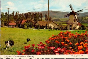 California Solvang Countryside Scene With Windmill