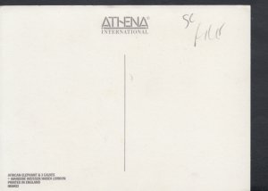 Animals Postcard - African Elephant and Three Calves   RR3991