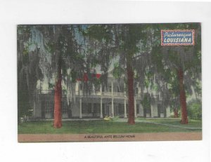 Vtg 40's Picturesque Louisiana Linen Postcard