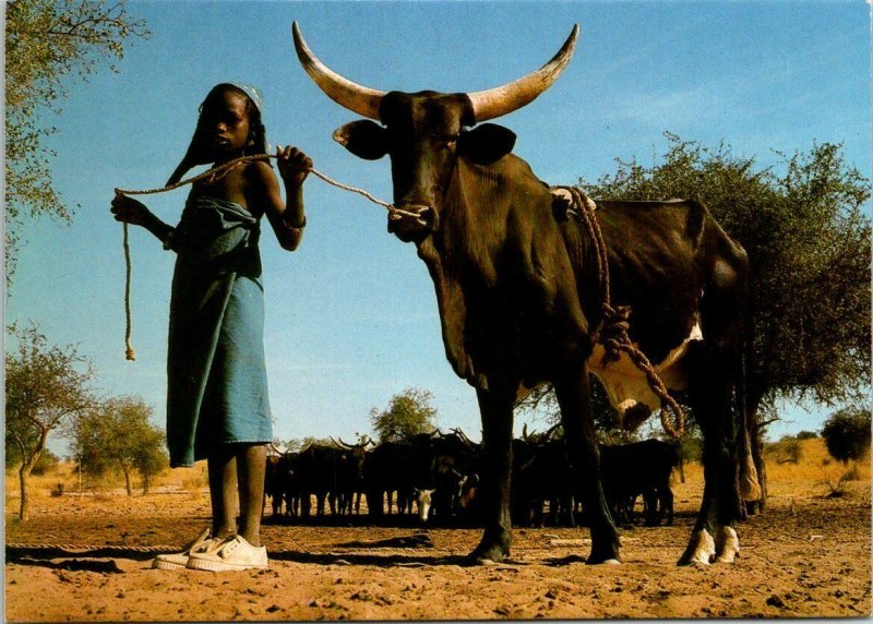 VINTAGE CONTINENTAL SIZE POSTCARD BORORO SHEPHERD GIRL POSTED FROM TOGO 1981