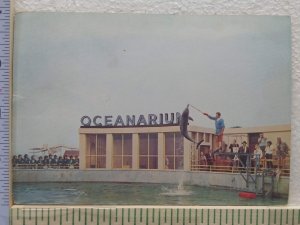 Postcard Haig performs, Oceanarium, Port Elizabeth, South Africa