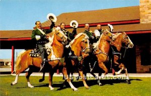 Famous Long Beach Mounted Police , CA