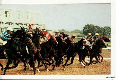 HORSE RACE TRACK,  Belmont - LONG ISLAND, NY  1962 chrome...