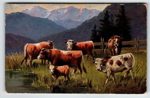 Postcard Cows Animals Rustic Mountains HKM Serie 228 A Muller Germany 1907