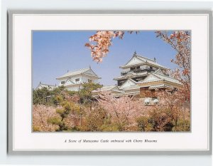 Postcard A Scene of Matsuyama Castle embraced with Cherry Blossoms Japan