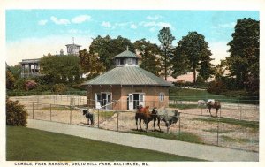 Vintage Postcard Camels Park Mansion Druid Hill Park Baltimore Maryland MD I&M