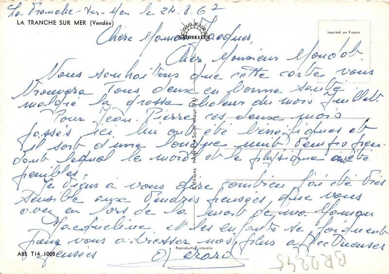 BR2245 La Tranche sur Mer  france