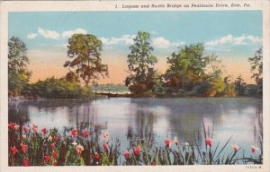 Pennsylvania Erie Lagoon And Rustic Bridge On Peninsula Drive