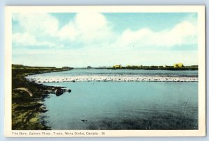 Truro Nova Scotia Canada Postcard View Of The Bore Salmon River c1950's Vintage