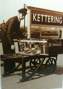 Porter with Basket of Pigeons at Kettering Railway Station Repro Postcard