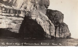 RP: Bonaventure Island Quebec, Canada, 1910s #2