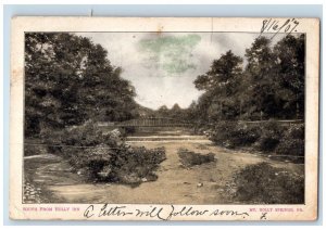 1907 South From Holly Inn Mt. Holly Springs Masthope Pennsylvania PA Postcard