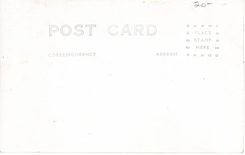 LIVE LYNX IN FOOT TRAP.