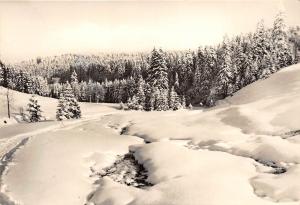 BG16400 steinbachtal  johanngeorgenstadt erzgeb germany CPSM 14.5x9cm