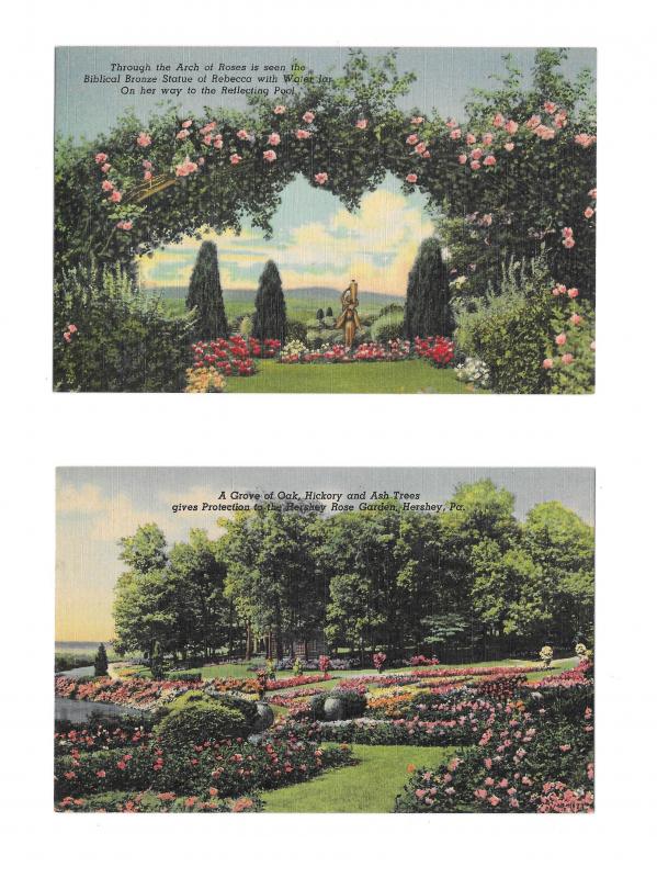 Hershey PA 2 Diff Linen Postcards Rose Garden Rebecca Statue and Tree Grove