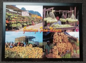 [AG] P238 Malaysia Local Tropical Fruits Food Plant Hawker Stall (postcard) *New