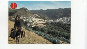 BF26979 moulay idriss une des villes saintes  morocco  front/back image