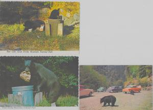 Group of 3 Great Smoky National Park bear cubs some continental vintage pc Z8791