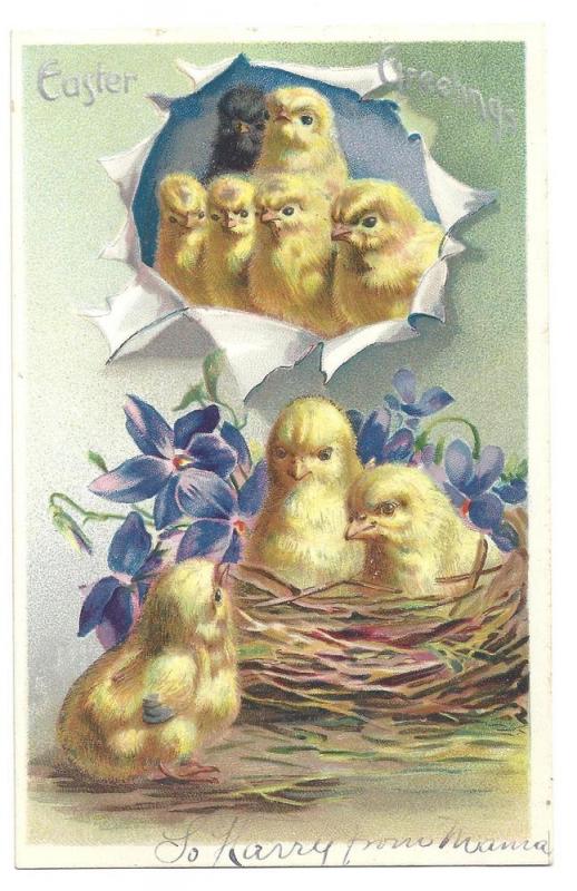 Tuck Easter Postcard Chicks One Black Vintage Embossed