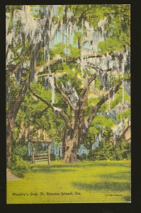 USA Wesley's Oak St. Simons Island Georgia Linen Postcard