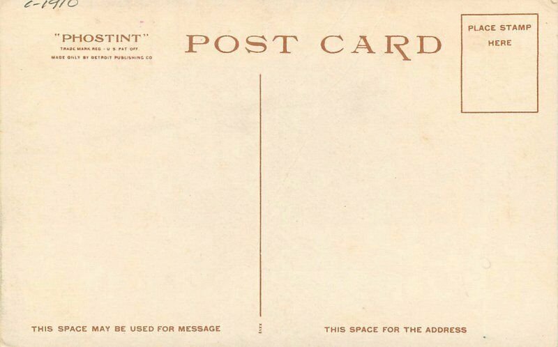 California Palm Springs Sand Verbenas Detroit Publishing C-1910 Postcard 22-2689