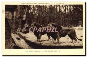 Old Postcard Zoo 1931 Paris International Colonial Exposition Zoo Plateau lions