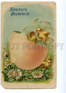 497709 EASTER kiss of Chickens in Huge EGG Vintage Embossed postcard