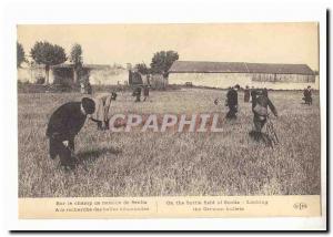 Old Postcard Army Senlis On the battlefield (60)