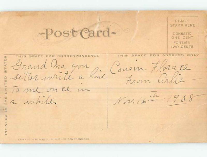 Bent Divided-Back PEOPLE TRY TO GET STUBBORN DONKEY MULE TO MOVE o7118