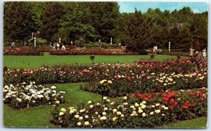 M-68164 The Famous Jackson & Perkins Rose Gardens Newark New York