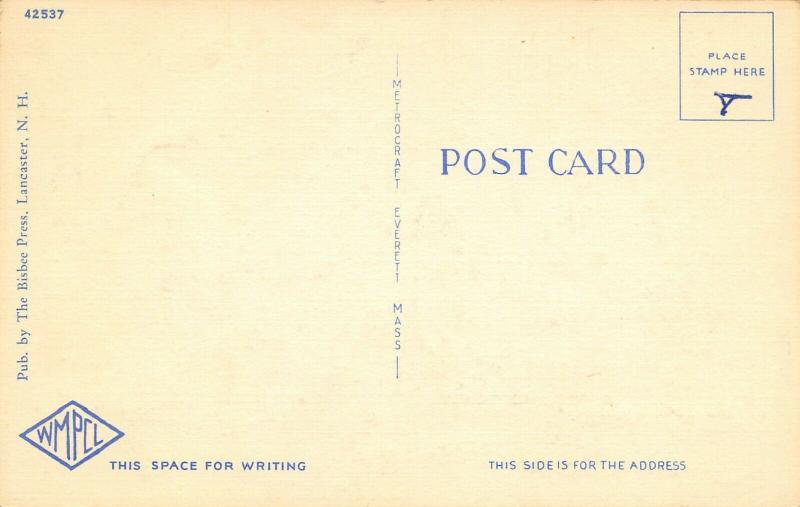 White Mts New Hampshire~Large Letter Linen Postcard~Man on Mountain~Train~WMCPL 