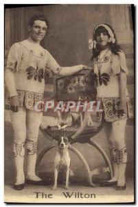 Old Postcard The Wilton Dog Dogs