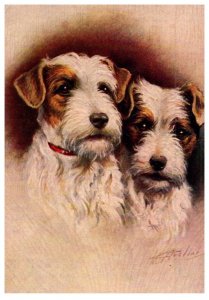 Dog , Sealyham Terrier ,  artist signed