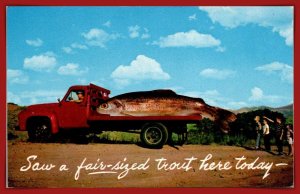 Saw A Fair-sized Trout Here Today - [MX-1089]