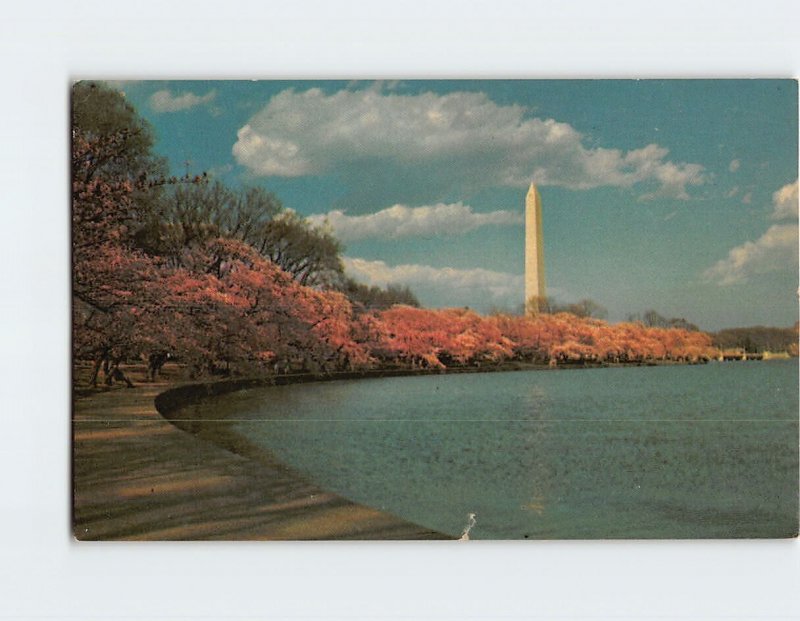 Postcard The Washington Monument, Washington, District of Columbia
