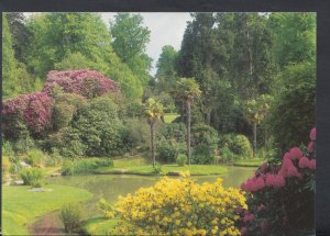 Sussex Postcard - Palm Island, Sheffield Park Garden, Nr Uckfield     T2026