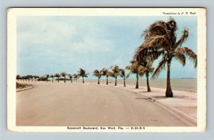 Key West FL-Florida, Tropical Palm Lined Roosevelt Boulevard, Chrome Postcard