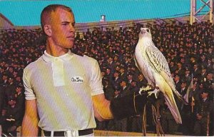 Colorado Colorado Springs Cadet Cheering Section And Falcon Mascot United Sta...