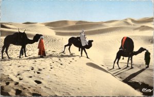 Postcard Bassour dan les dunes - Algeria - People riding camels