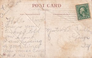 Thanksgiving Hearty Greetings Turkey Barton & Spooner Postcard D19