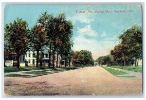 1912 Dunbar Avenue Looking West Dirt Road Lined Tree Waukesha Wisconsin Postcard