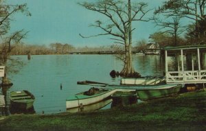 America Postcard - Perquimans River, Hertford, North Carolina    RS22147