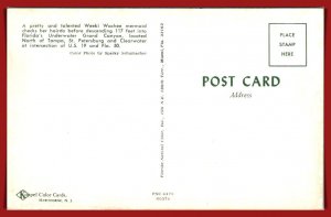 Florida, Weeki Wachee - Mermaid  - [FL-1060]