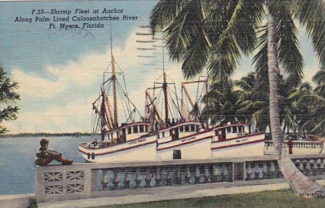 Florida Fort Myers Shrimp Fleet At Anchor Along Caloosahatchee River 1951 Cur...