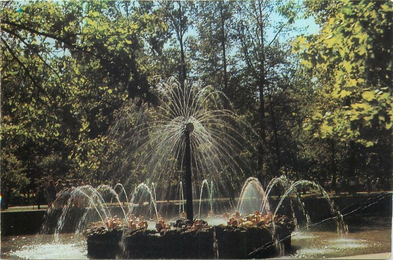 Postcard Russia Petrodvorets The Sun Fountain