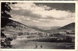 Postcard PANORAMIC SCENE Middleburg New York NY AO1514