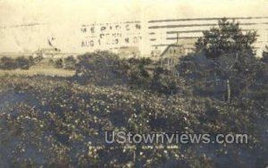 Real Photo - Cape Cod, Massachusetts MA