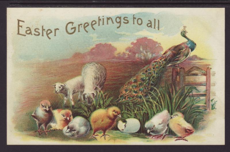 Easter Greetings to All,Chicks,Sheep,Peacock